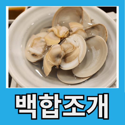 신선한 백합조개 고르는 방법 백합조개 효능 백합조개 부작용 백합조개탕 만드는 법