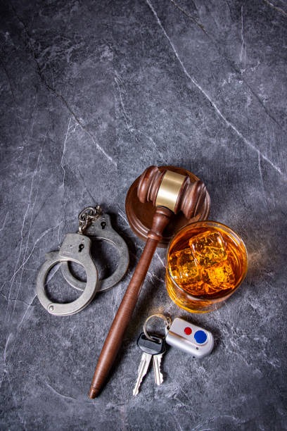 815-광복절-특사-음주운전-확인