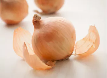 양파1