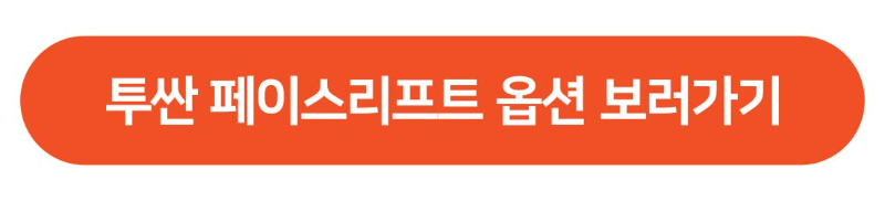 투싼 페이스리프트 옵션