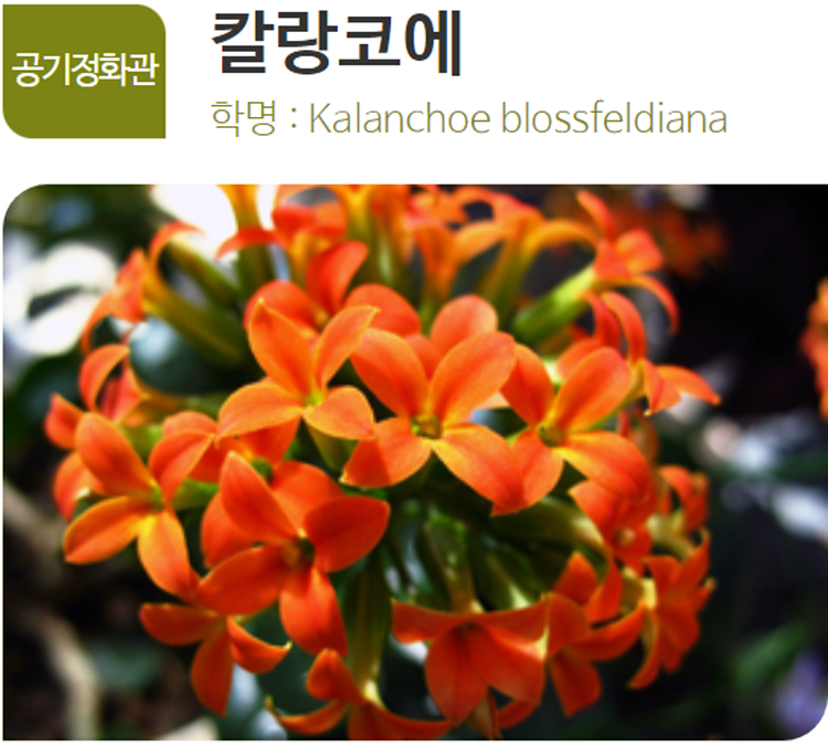 아산 생태곤충원