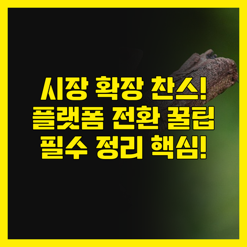 출시작의 시장 확장 찬스! 플랫폼 컨..
