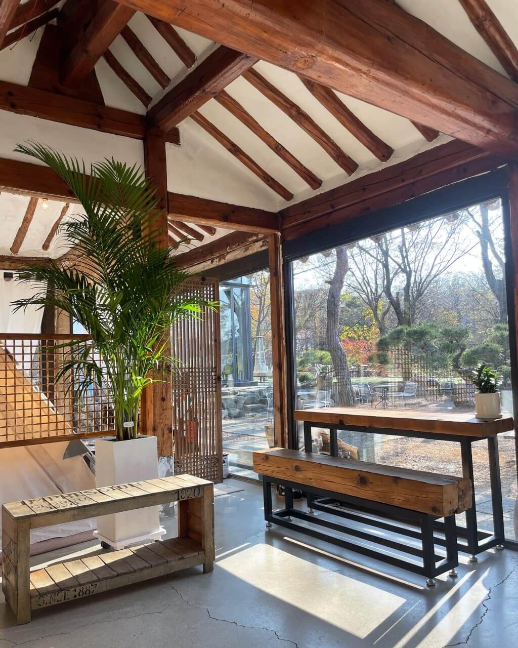 생생정보 핫 플레이스 Now 북한산 둘레길 10구간 북한산 놀면라면 카페 생생정보 2297회