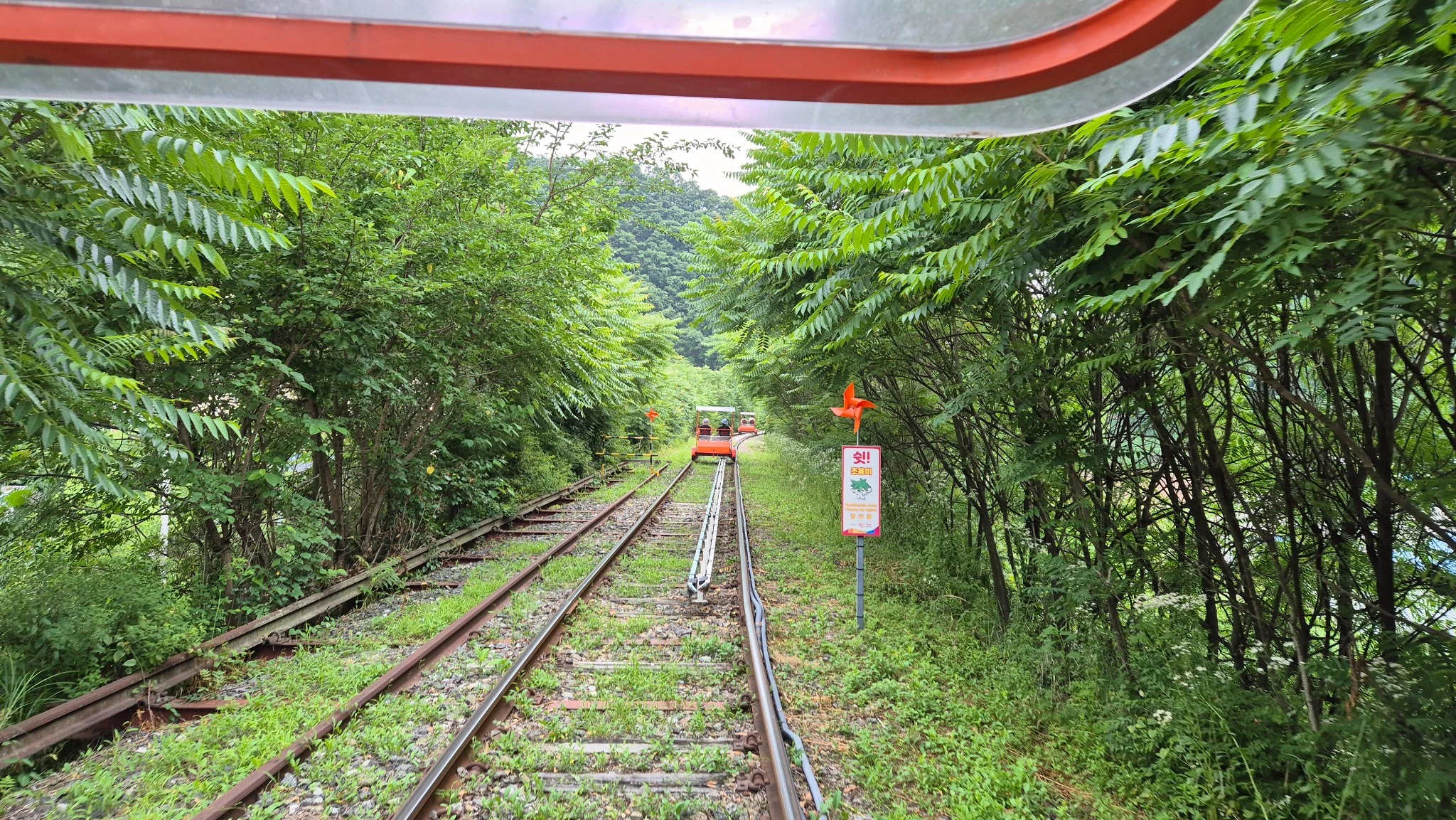 숲길 구간 – 한여름에도 시원한 그늘길