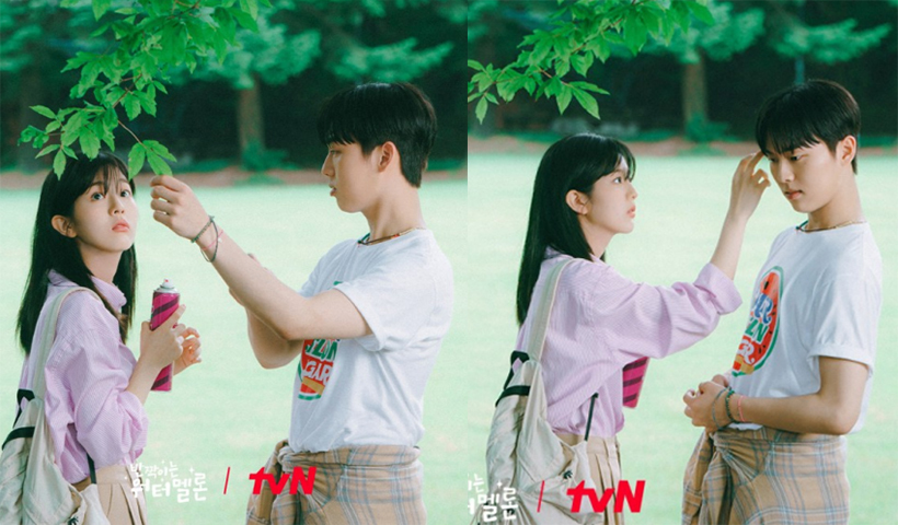 반짝이는-워터멜론-스틸컷24