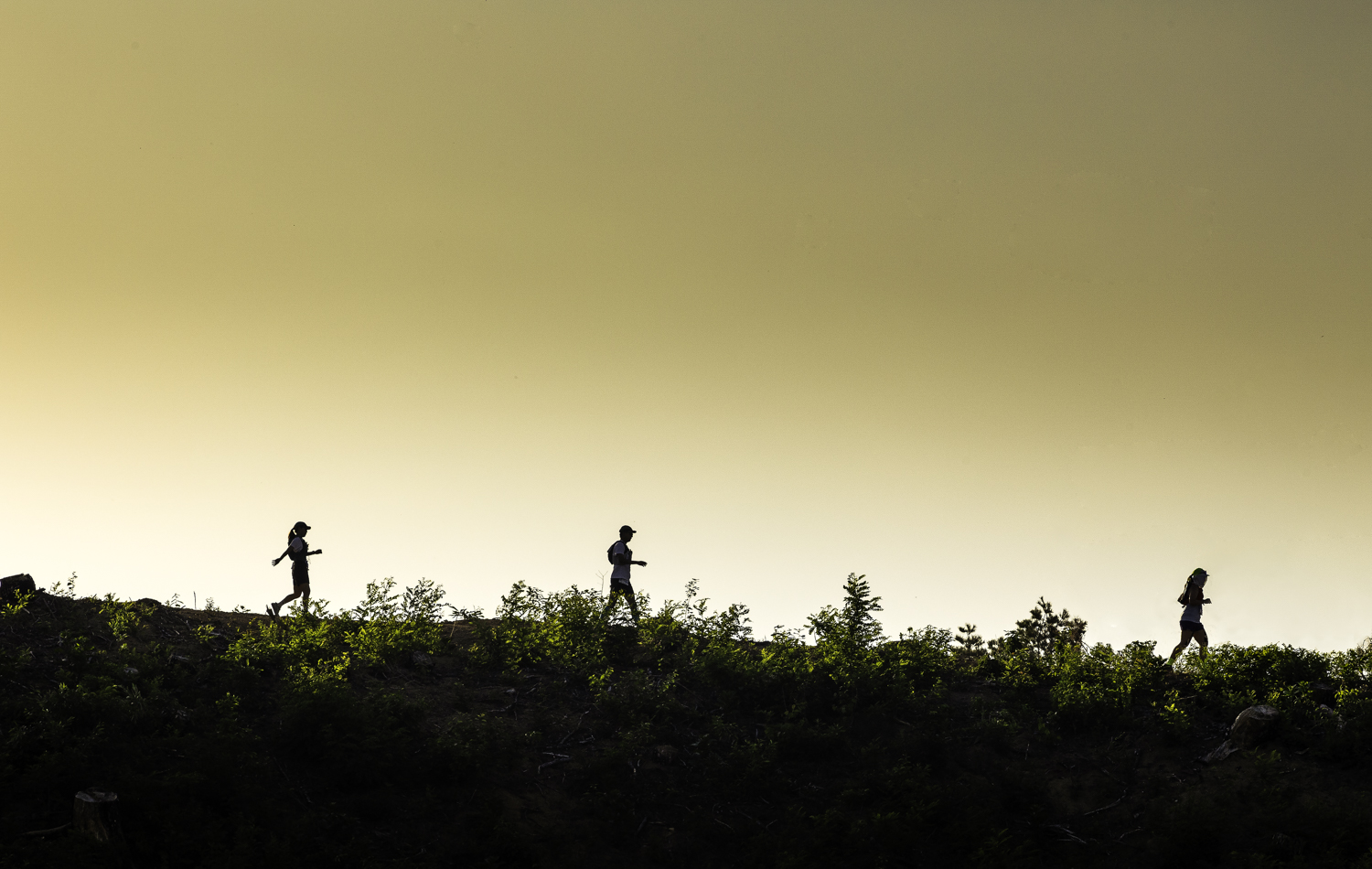 tnf100korea
tnf100gangwon
노스페이스 트레일러닝대회
선자령 트레일러닝