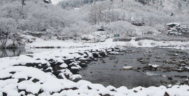 1월 충청북도 가볼만한곳 여행지 추천 ❘ 신년 새해 국내 겨울 나들이 ❘ 충청도 명소 ❘ 가족 실내 데이트