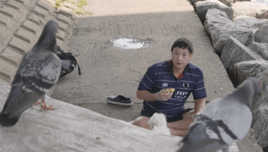 배우 구성환 비둘기