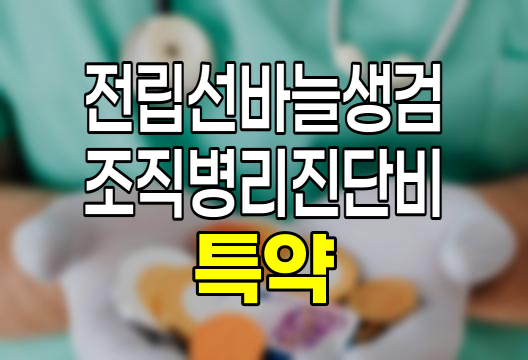 KB손해보험 전립선바늘생검조직병리진단비 특약의 핵심