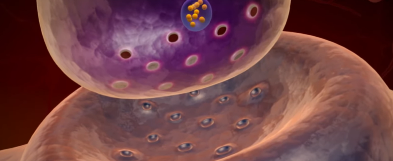 무기력증 자가진단