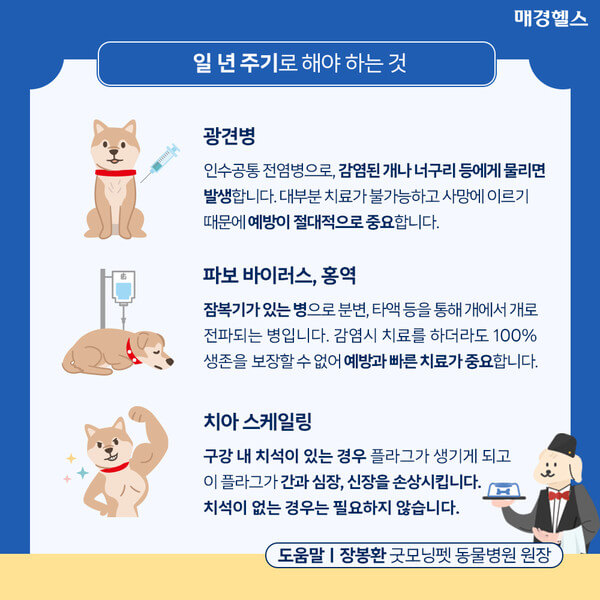 강아지 진드기·벼룩 예방