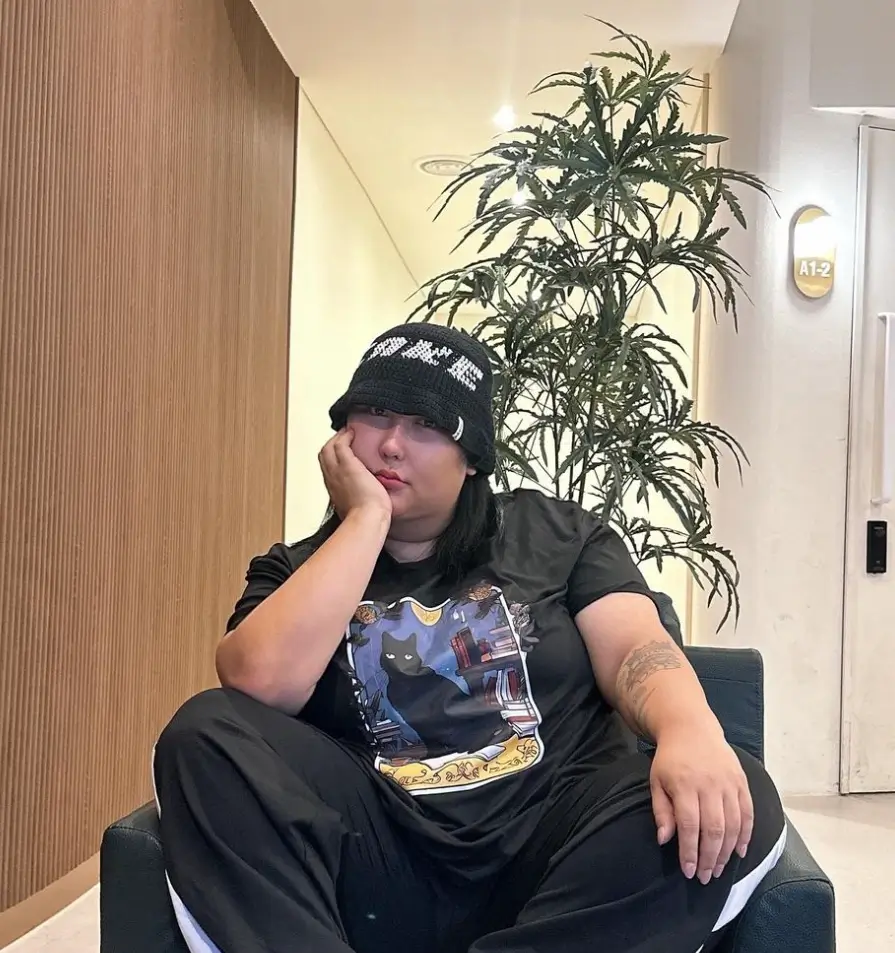 풍자