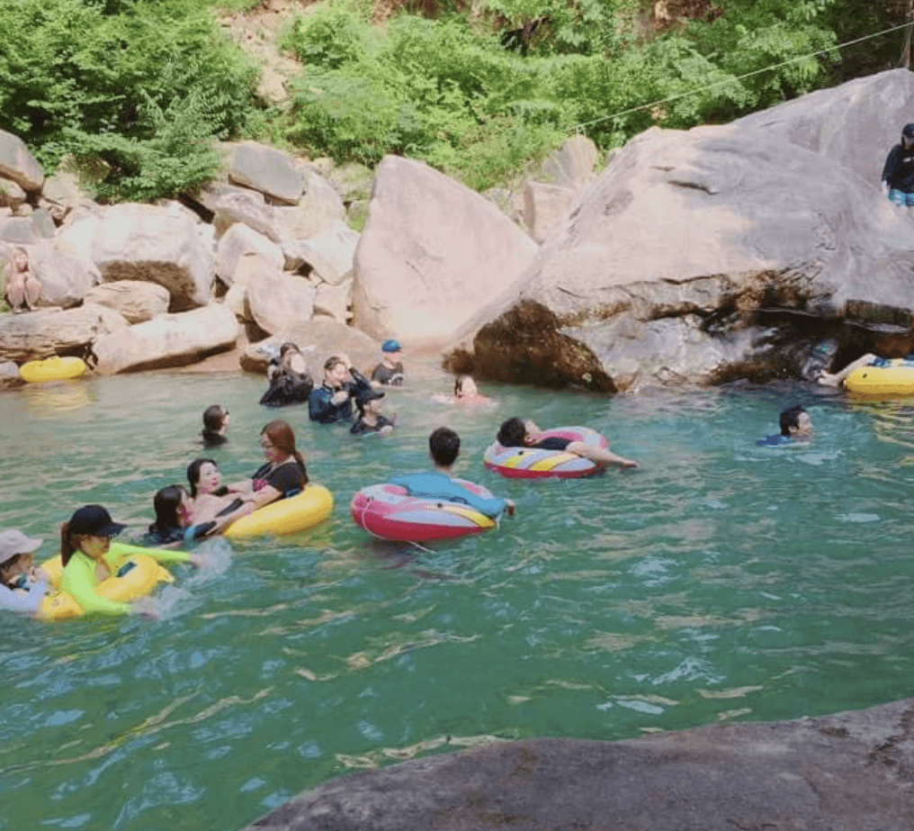 검태오남매