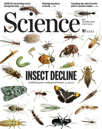 곤충과 동물의 차이점 생물 분류 기준과 이해 돕기_26