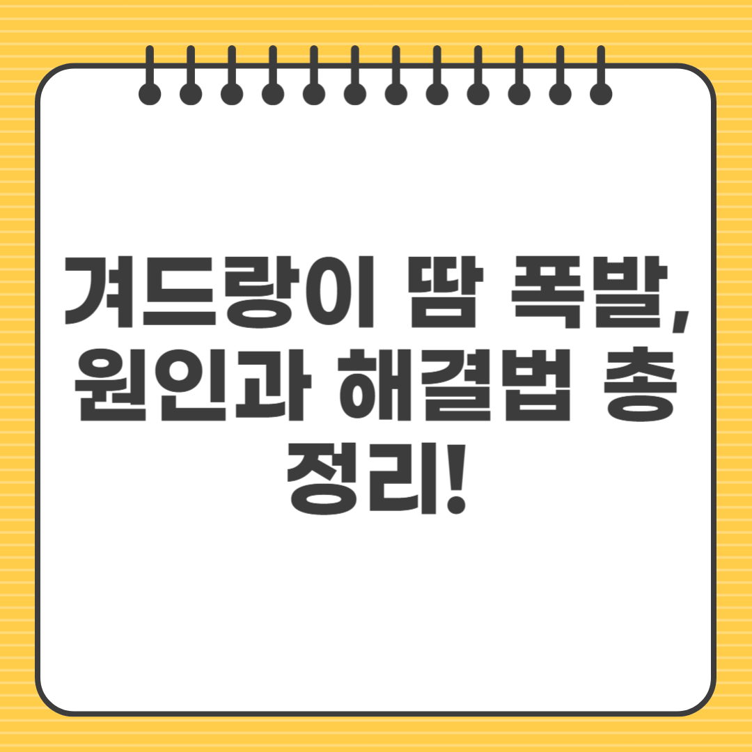 겨드랑이 땀 폭발, 원인과 해결법 총정리!