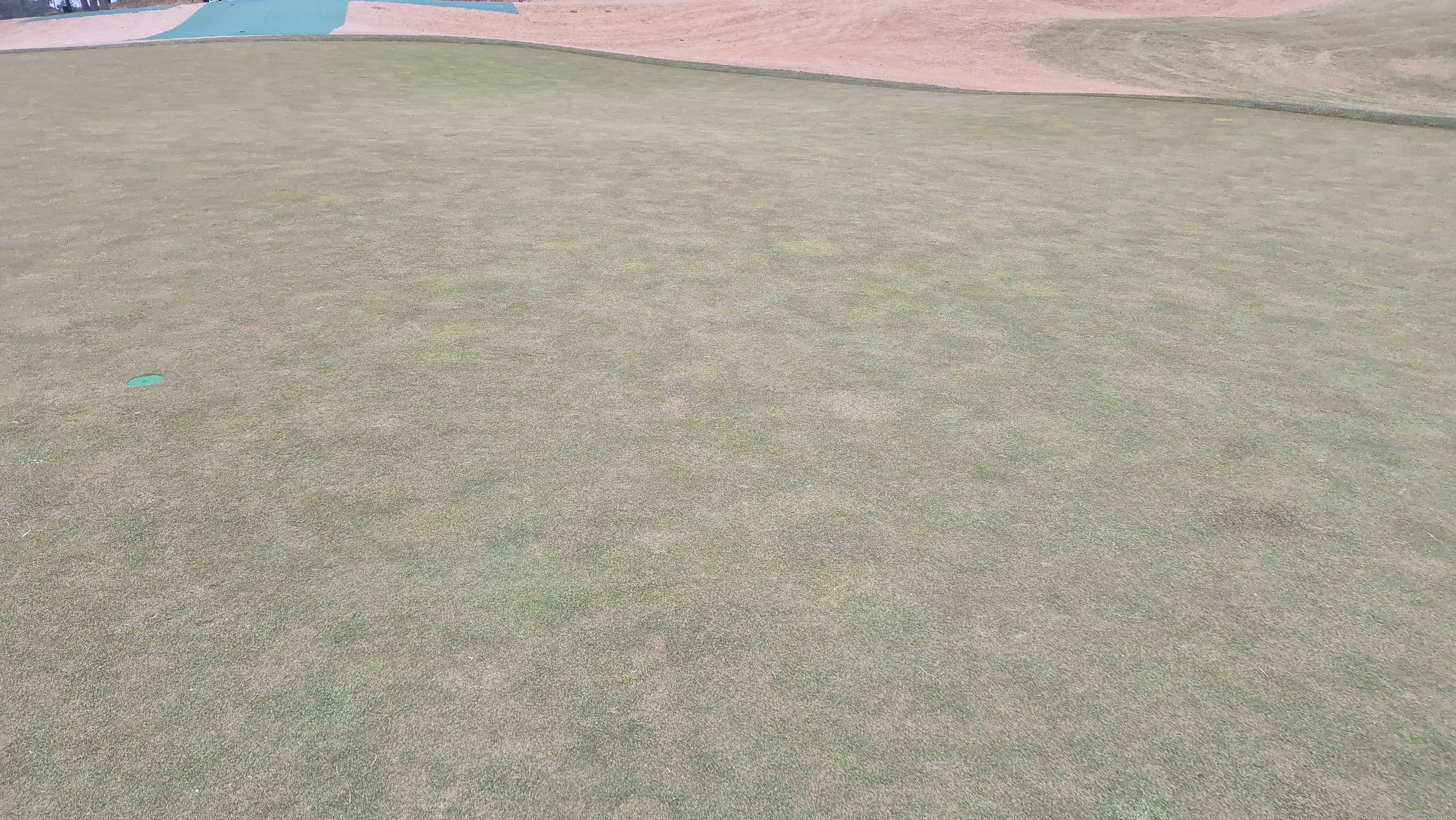 더헤븐cc 사우스-웨스트 코스 그린관리상태