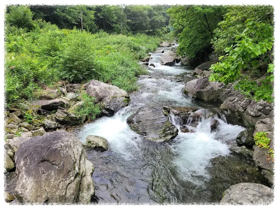 가리왕산자연휴양림