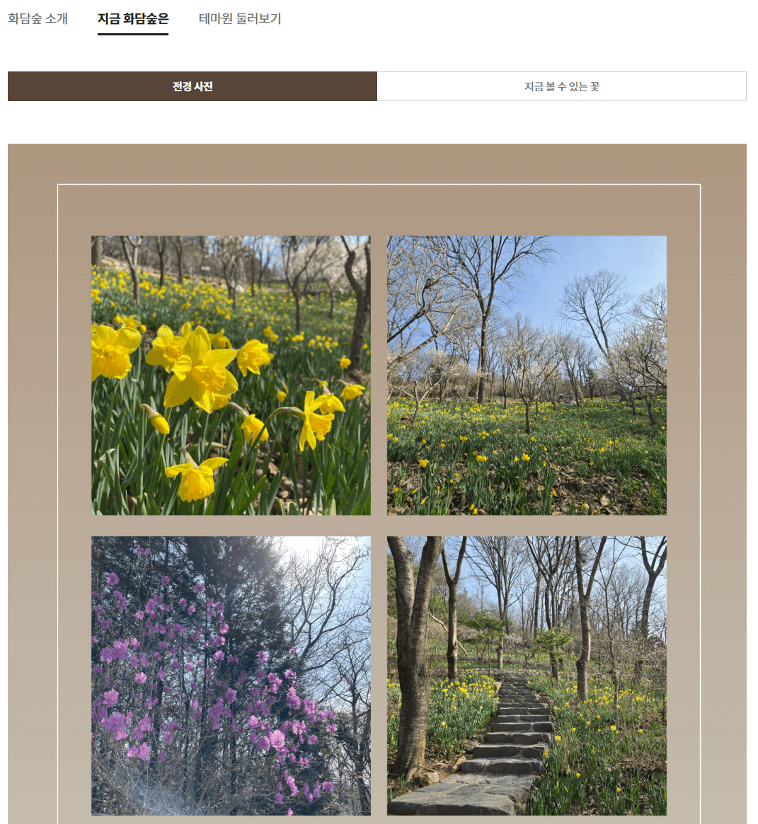 전국 봄꽃 축제