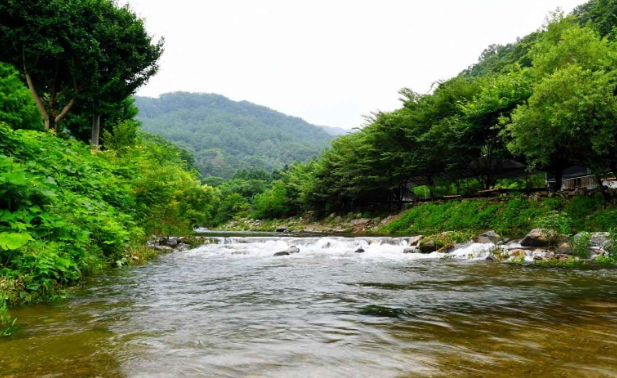경기도 광주 천진암 계곡 &mdash; 한적하게 쉴 수 있는 숨은 계곡 여행기