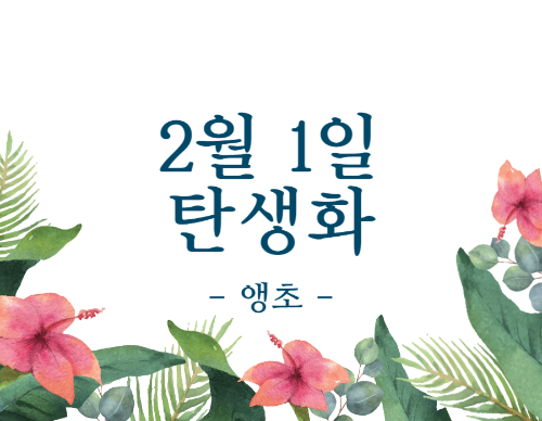2월 1일 탄생화 앵초 꽃말과 선물 방법