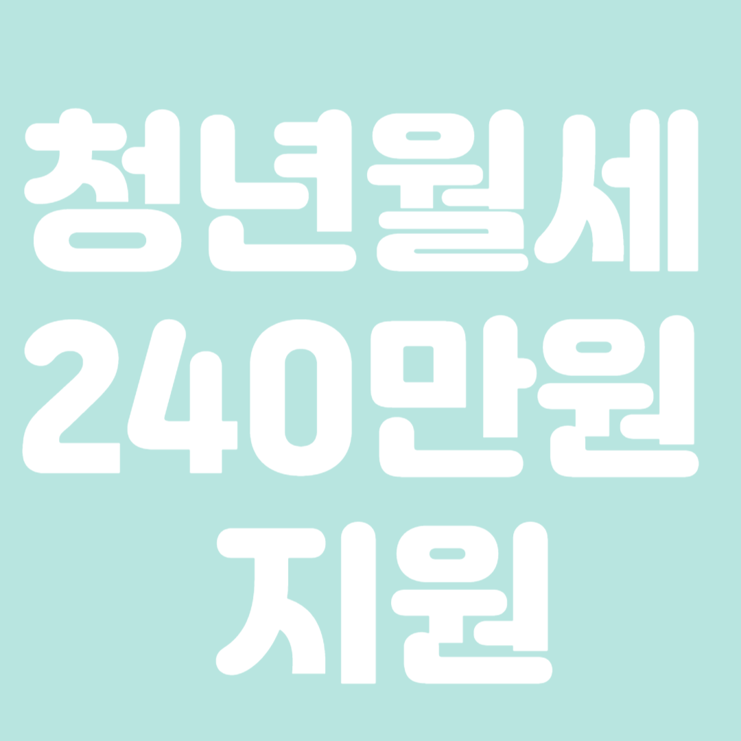 청년월세 240만원 지원