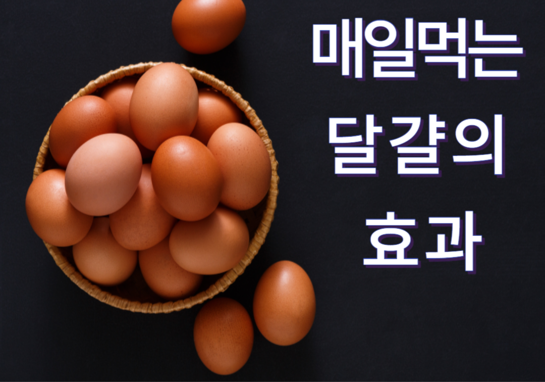 달걀