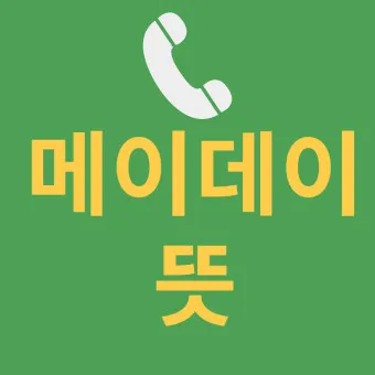 조종사 메이데이 뜻 메이데이란 메이데이 선언_7