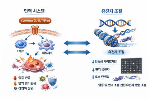 면역 시스템과 유전자 조절