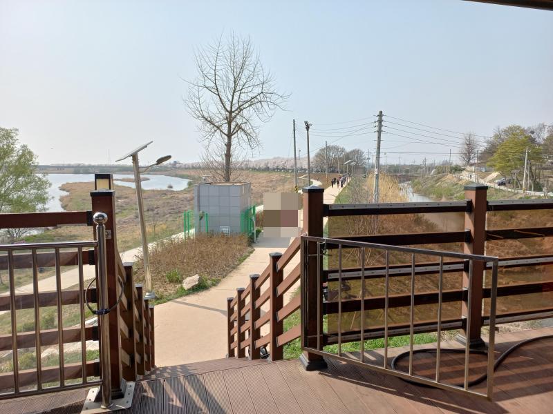 비비정 예술열차에서 벚꽃길로 가는길