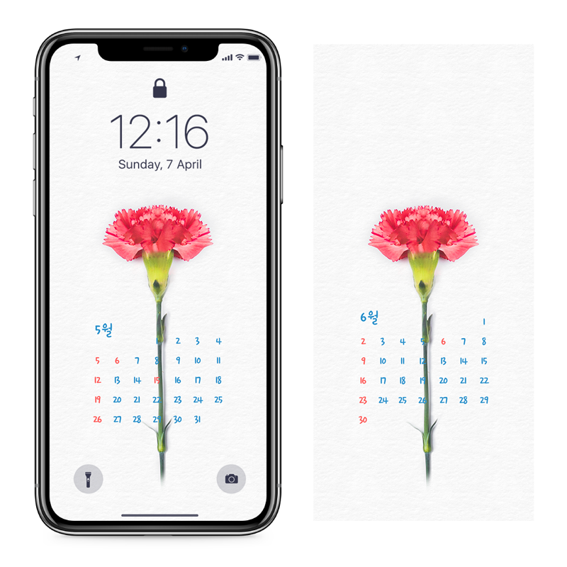 05 카네이션 AB - 2024년5월 아이폰달력배경화면