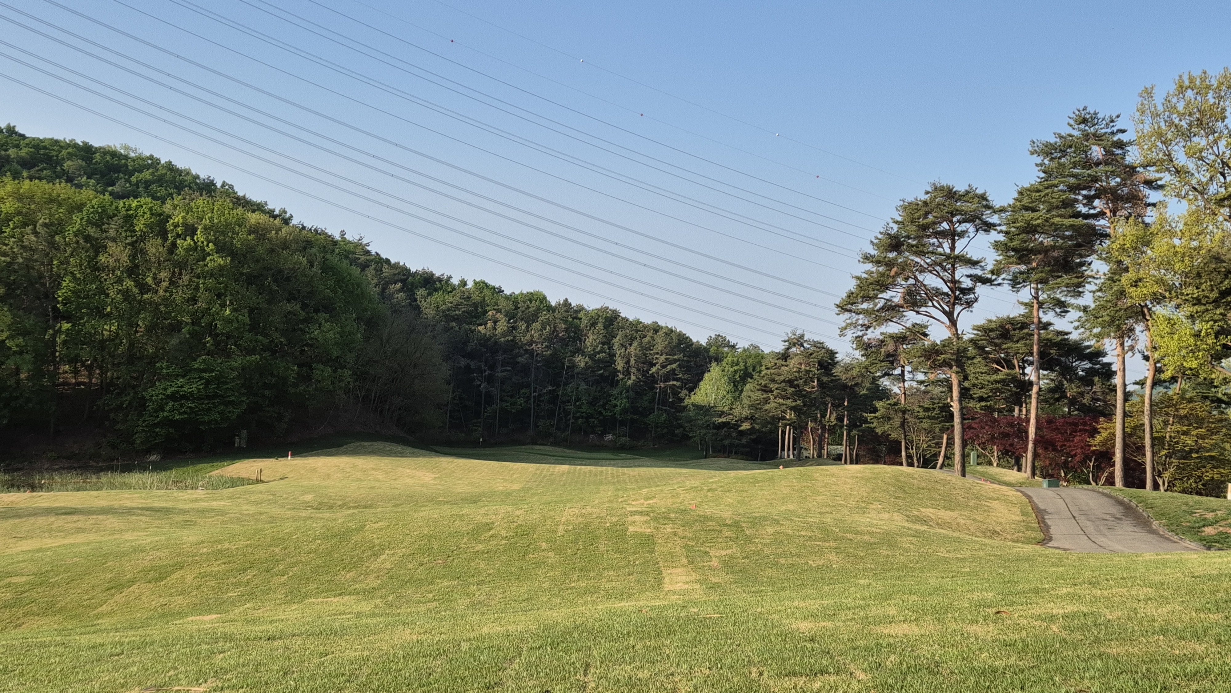 마에스트로cc 코스