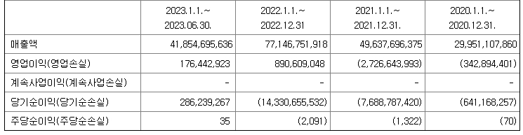 블루엠텍 재무정보