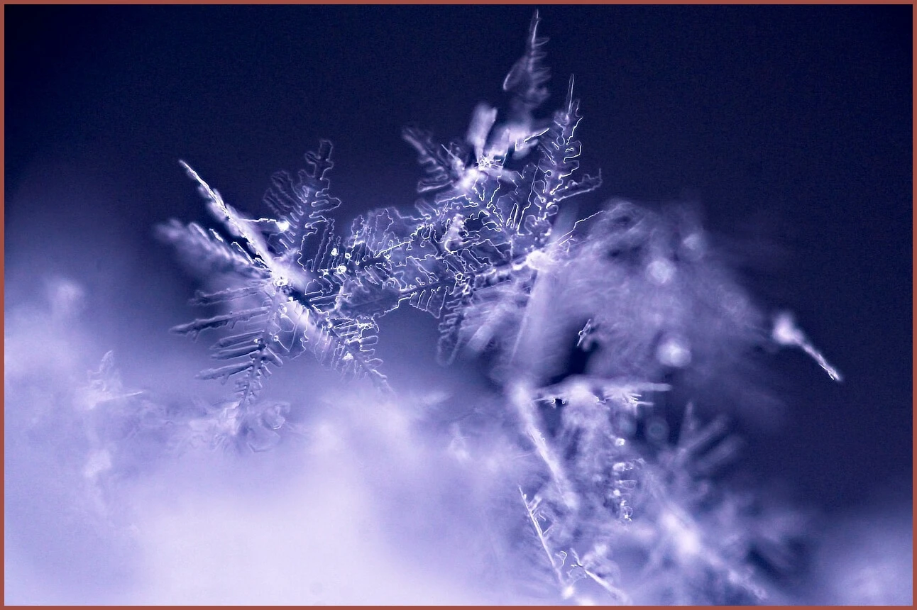 정기예금 이율높은곳