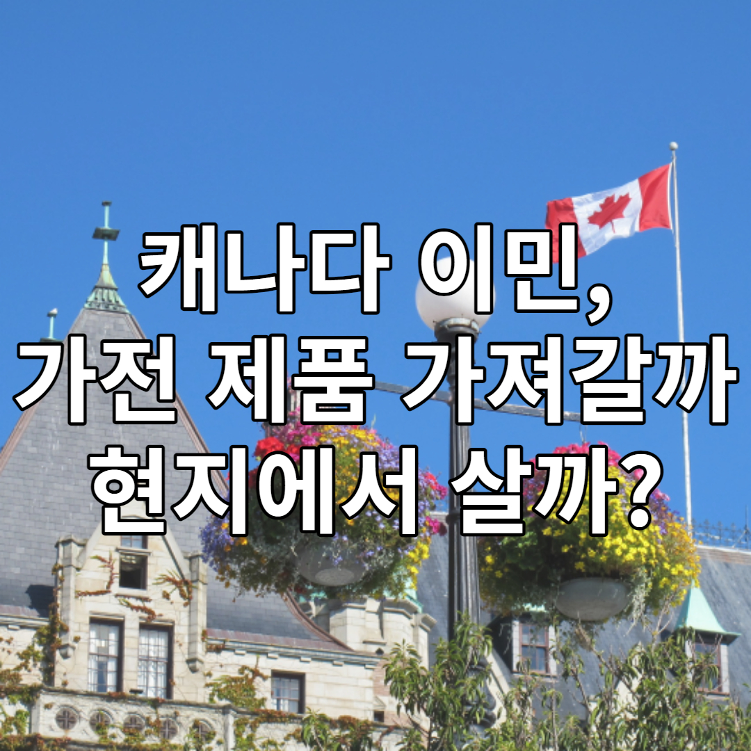 캐나다 전압 가전제품