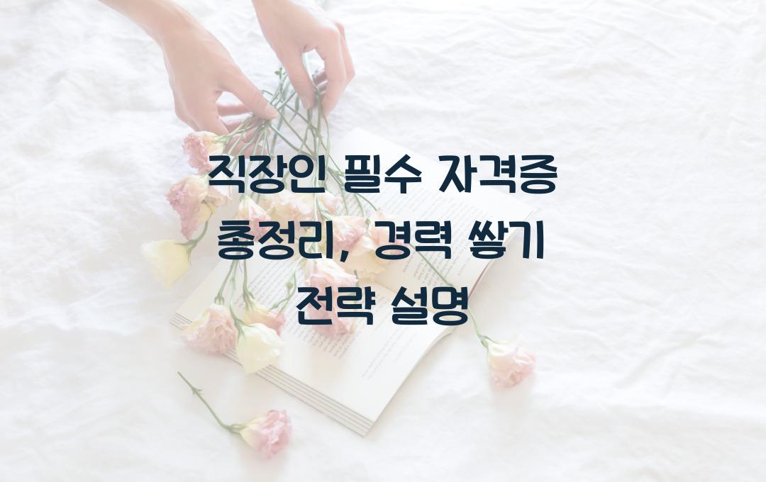 직장인 필수 자격증 총정리, 경력에 도움되는 스펙 쌓기