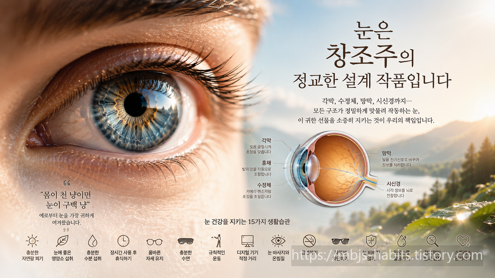 사람의 눈을 클로즈업한 사진과 각막, 홍채, 수정체, 망막, 시신경 구조를 보여주는 단면도, "눈은 창조주의 정교한 설계 작품입니다"라는 문구와 눈 건강을 지키는 15가지 생활습관 아이콘