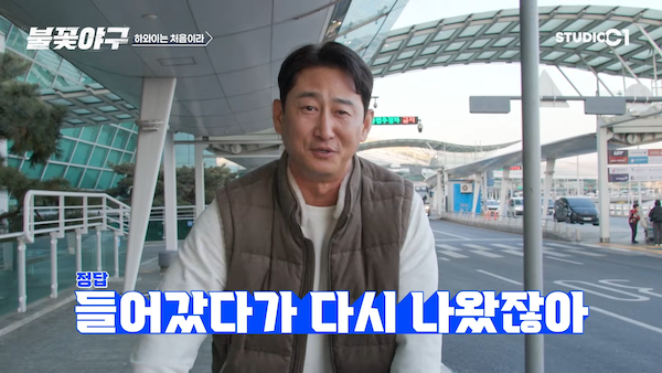 불꽃야구