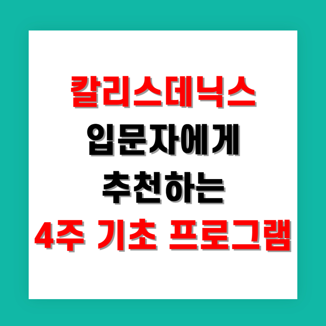 칼리스데닉스 입문자에게 추천하는 4주 기초 프로그램