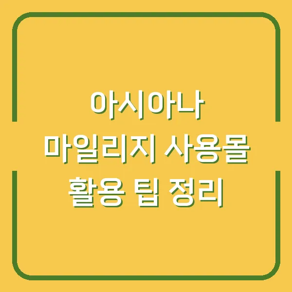 아시아나 마일리지 사용몰 활용 팁 정리