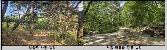 조선왕릉 숲길 8곳 개방, 숲길 상세 위치 총정리