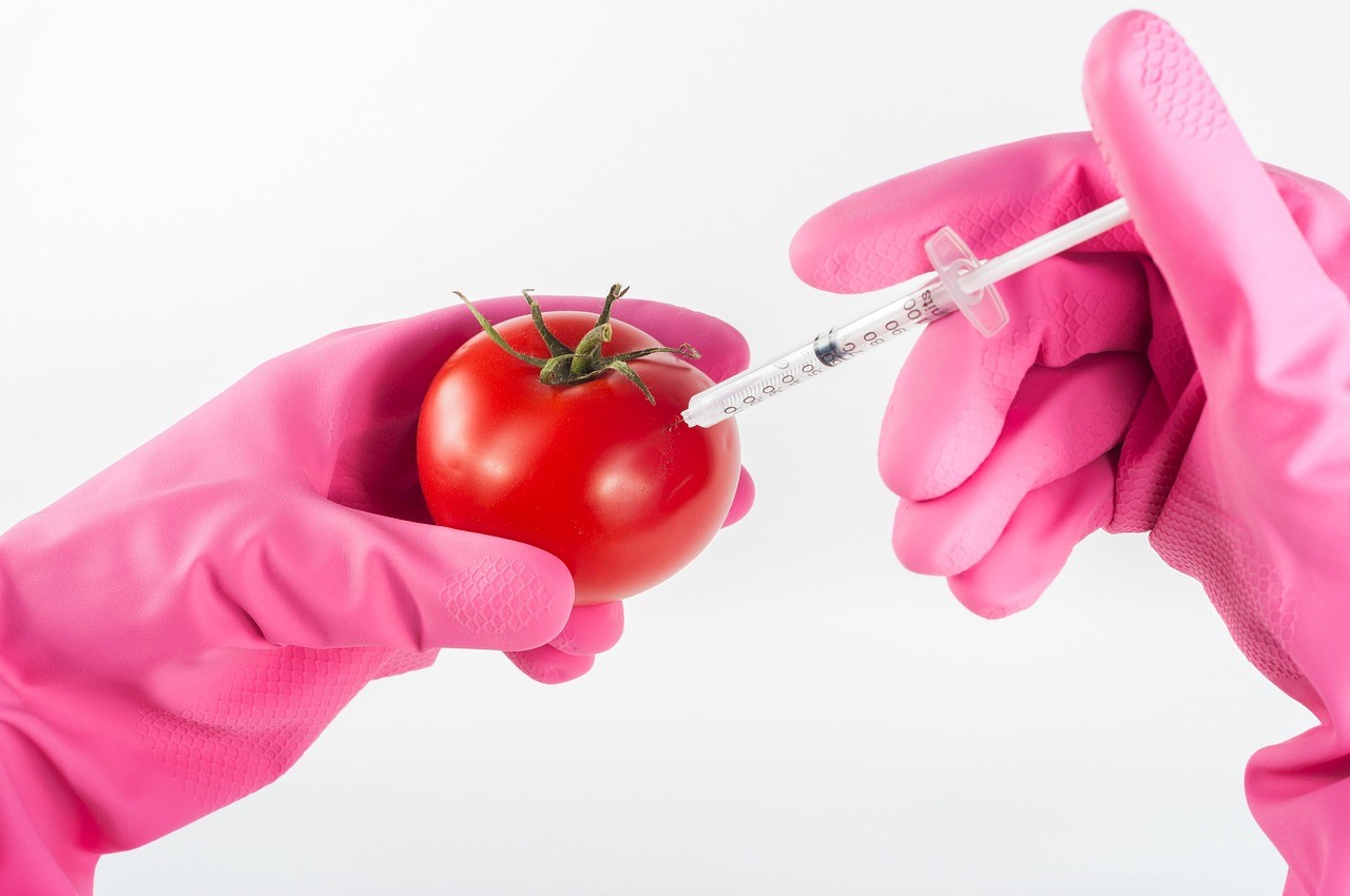 우수건강기능식품제조기준 (GMO) 이미지사진