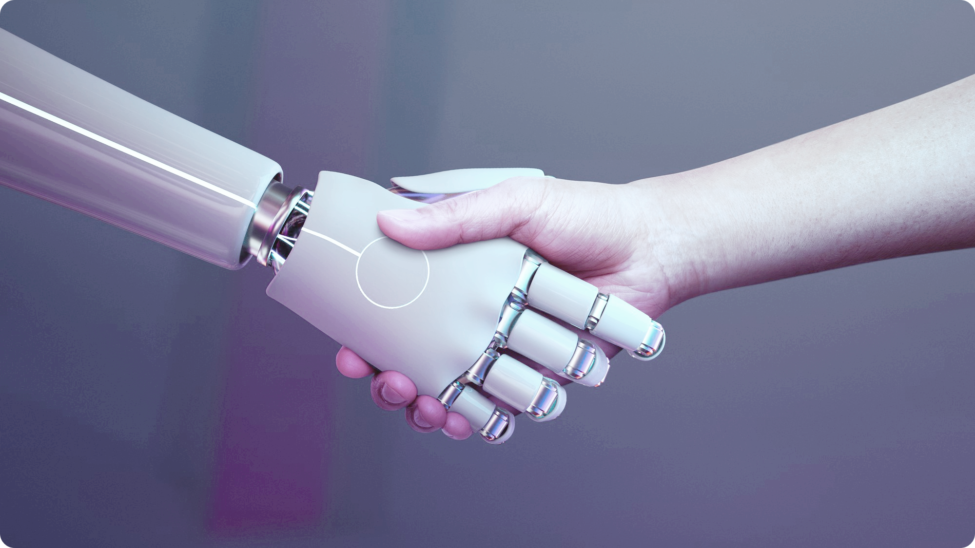 바이브 코딩은 개발자를 대체할까?