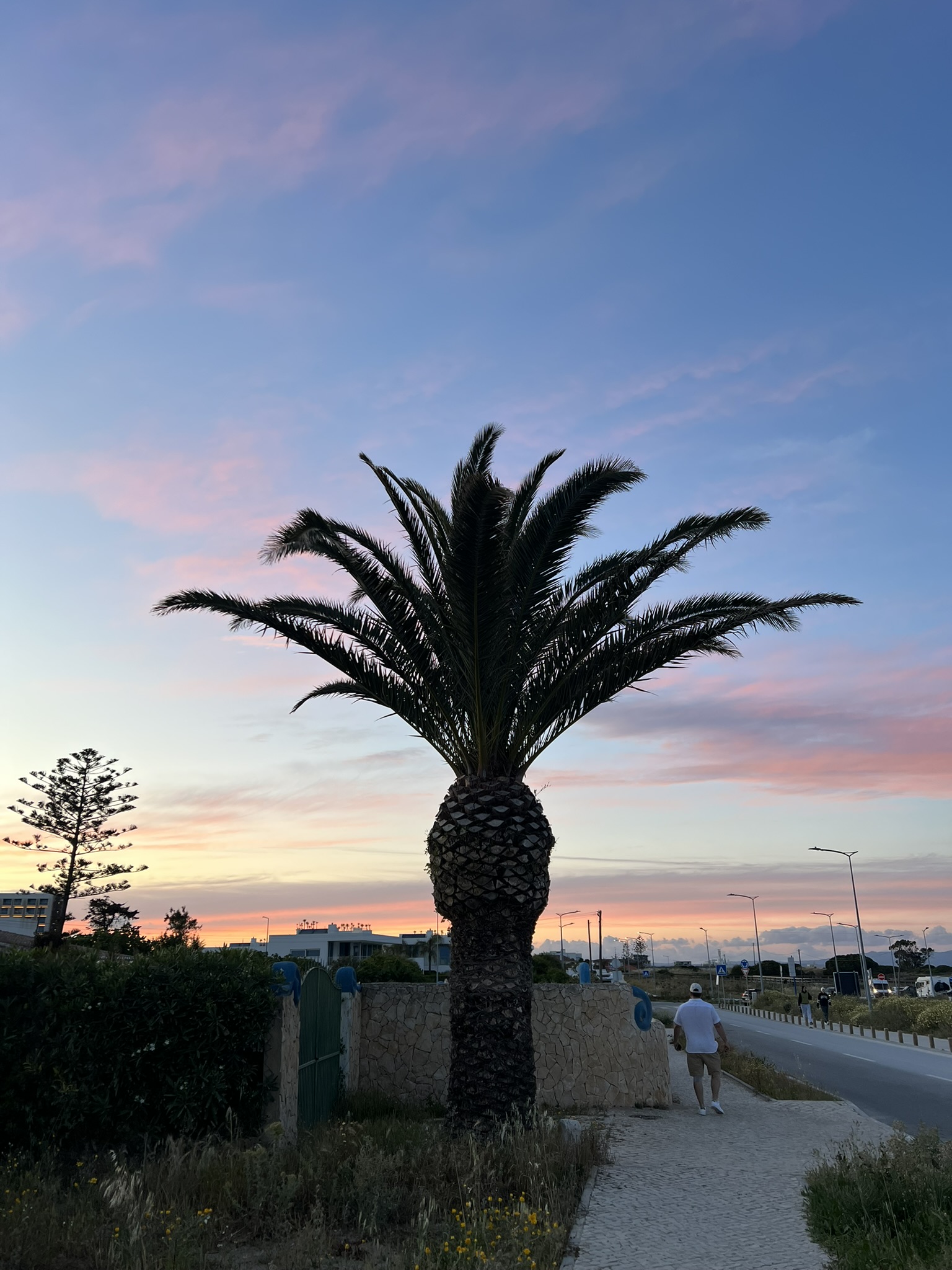 돌아가는 길 붉은하늘 사진