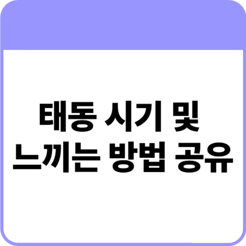 태동 시기 및 느끼는 방법