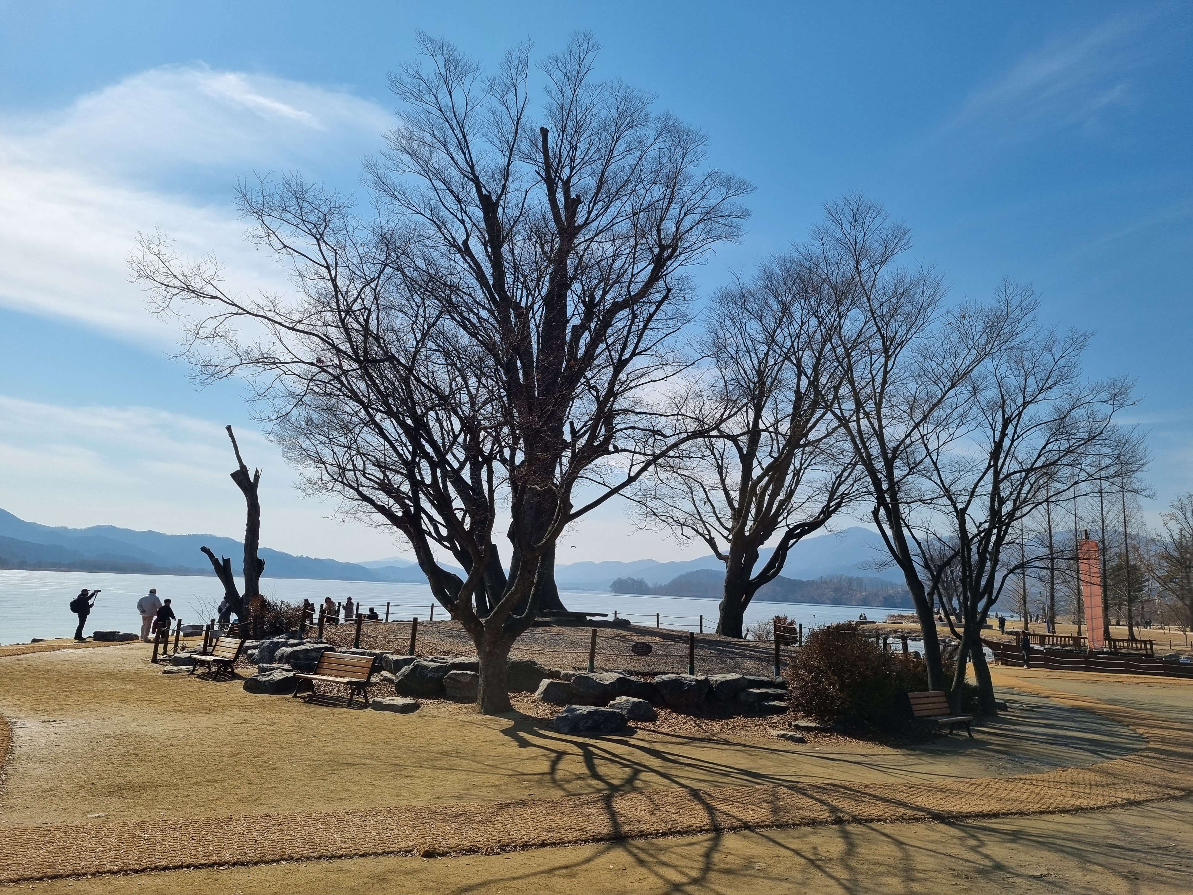 두물머리 사진('23.2)