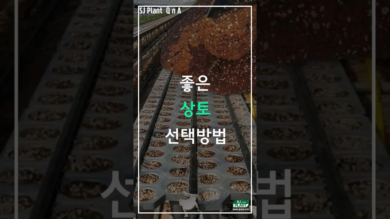 상토 선택 화분심기 초보기준 비료섞는법 안전 가이드_8