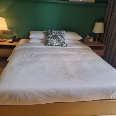 수페리어-그린-더블-룸-침대