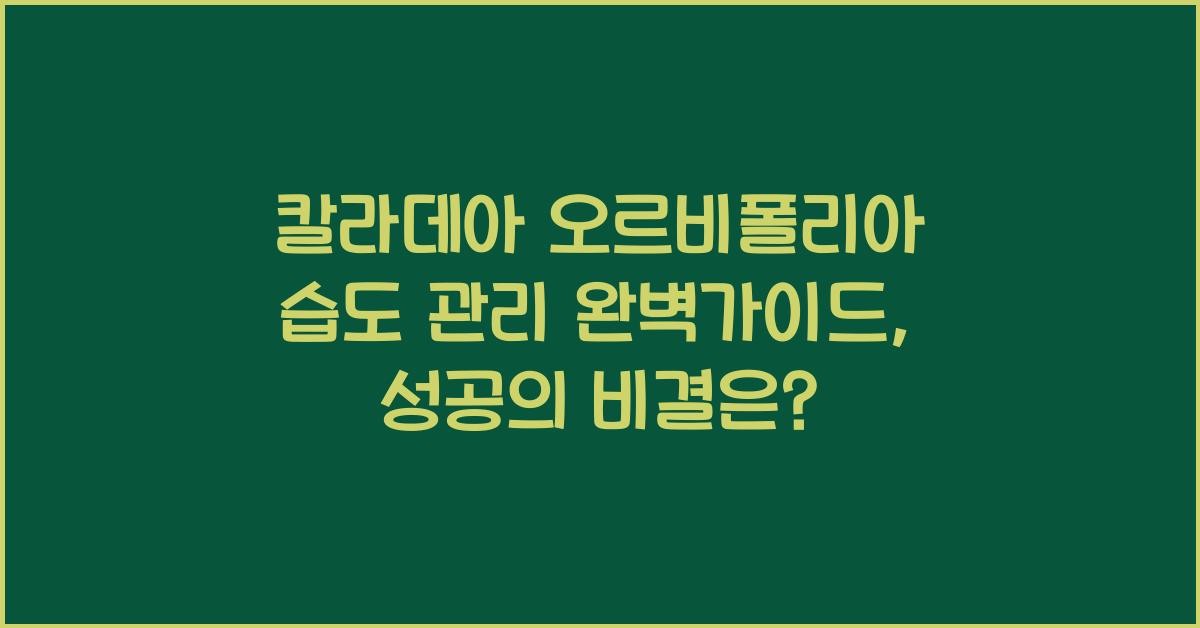 칼라데아 오르비폴리아 습도 관리 완벽가이드