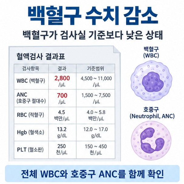 백혈구 수치 감소라는 제목과 혈액검사 결과표, 백혈구와 호중구 세포를 함께 표현한 대표 의료 이미지