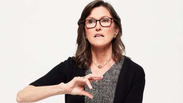 아크인베스트 캐시 우드